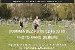 11866 photo